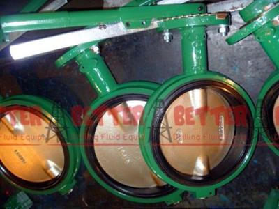 China DEMCO Butterfly Valves NE-C NE-I NE-D Type CI DI BODY 416SS STEM BUNA-N SEAT BRONZE DISC for sale