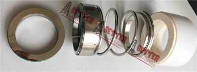 China Mcm-250 Pump Seal, Mechanical Seal Type1, Mission Magnum 2500 for sale