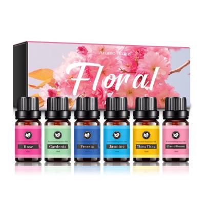 China Diffused Perfume New Aromatherapy Essential Oil Gift Set 6 Bottles 10ml Aromatherapy Essential Oils Set For Diffuser for sale