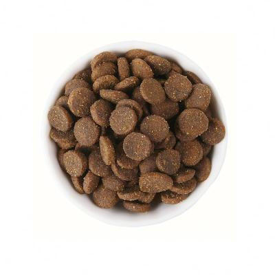 China OEM ODM Viable Factory Wholesale Price Custom Made Dry Natural Crude Protein Free Sample High Quality Cat Food for sale