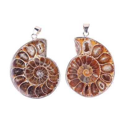 China China Wholesale Natural Fossils Conch Ammonite Pendant Agate Slices Pendant For Necklace for sale