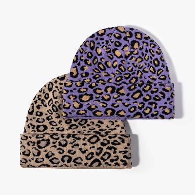 China COMMON High Quality Winter Leopard Beanie Fashionable Hats For Women for sale