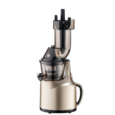 China High Quality 150w Household OEM Hotel RAVENDA Double Low Speed ​​Filter Fruit Slow Pressed Juicer Machine for sale