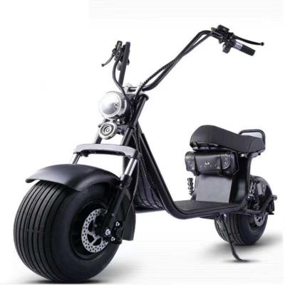 China Luxury high quality 1500w fat tire electric bike with removable battery for sale