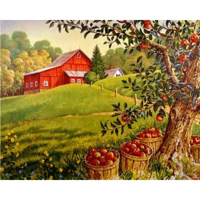 China Apple Trees Modern Landscape Round Or Square Kits Diamond Embroidery Full Drill Home Decoration DIY Gift Diamond Painting for sale