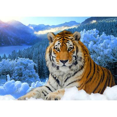 China Full Modern DIY Diamond Painting Tiger in Snow Round or Square Stitch Kits Cross Stitch Diamond Embroidery Diamond Drill Home Decoration Gift for sale