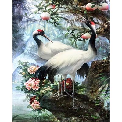 China Modern A Few White Cranes Round Or Square Diamond Embroidery Kits Home Decor DIY Gift Diamond Painting Full for sale