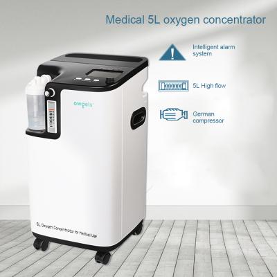 China Hospital Market Home Office Mall Outside Medical Equipment Portable Oxygen Concentrator 5L With CE Certificate Class II for sale