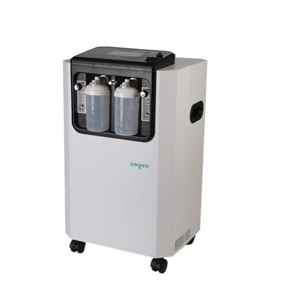 China Hospital Market Home Office Mall Outside SGS Certification 10L Large Flow High Purity Oxygen Machine Oxygen Concentrator for sale