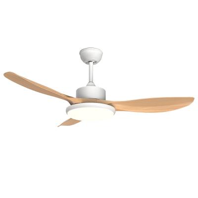 Cina Modern Hot Sale Cheap Price Fan Led Light Luxury Led Fans Blade Plastic Ceiling Fan With Lights in vendita