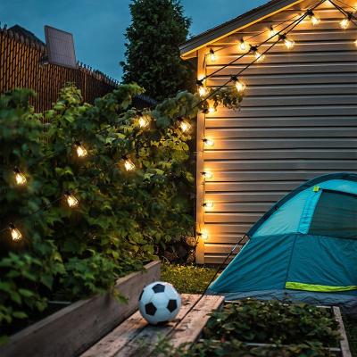 China Outdoor High Brightness Solar Energy Light Milky String Bulb Solar Landscape Bulb Light Led for sale