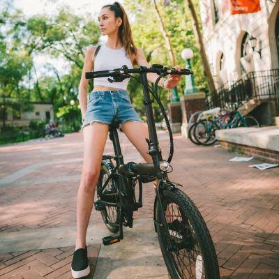 China Hot sale 20 inch powerful 7 speed 250w small mini bike folding electric bicycle for adult for sale