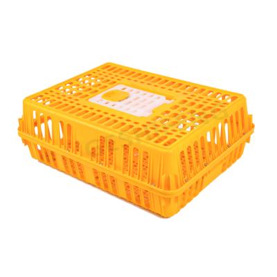 China Poultry Farm Poultry High Quality Crate Poultry Chicken Transport Plastic Cage for sale