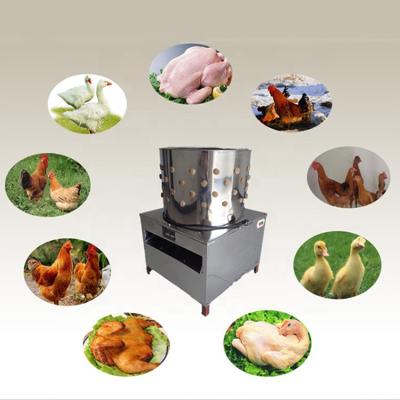 中国 Hot Selling Full Automatic Chicken Plucking Machine UK Used Wet Plucking Plucker A For Sale 販売のため