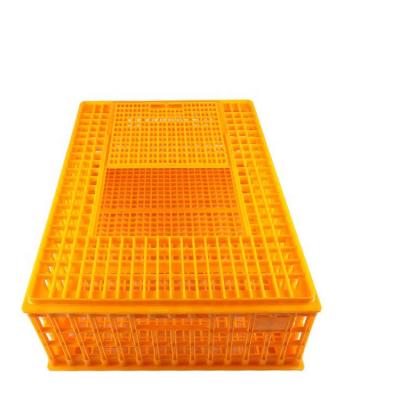 중국 High Quality Plastic Farms Transport Cages For Live Chickens Chicken Transport Cages Poultry Crate 판매용