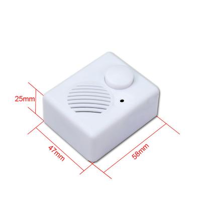 China High Quality Chip Mini Sound Box USB Port Recordable Mic Voice Recorder for sale