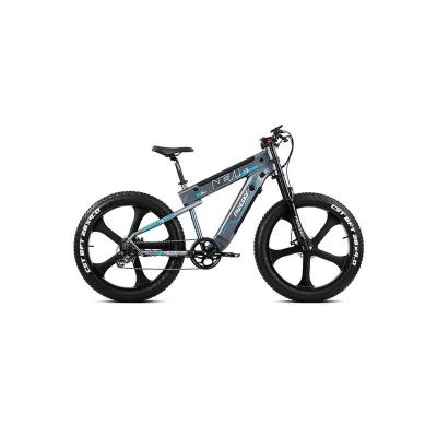 China Aluminum Alloy Most Popular Fat Tire 26 Inch Ebike Electric Bike 250W 500W For Eu Wholesale for sale