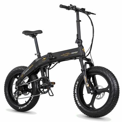 China Aluminum alloy factory 20 inch fat tire 350W electric bike ebike for adult with 20