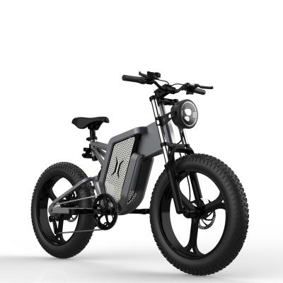 China Electric Bicycle 48V 500/750/1000W Motor Power 10/20AH Lithium Battery Aluminum Electric Mountain Bike 100NM Ebike China Manufacturer for sale