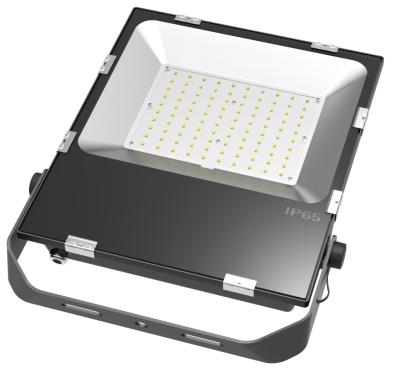 China Popular garden SAA CE ETL 24V dc 304 high power led floodlight IP65 outdoor 100W RGB led flood light for sale