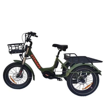 China Mid Drive Aluminum Alloy 48v1000w Dual Motor Fat Tricycle 20 Tire Tricycle Three Wheel Electric Electric Cargo Bike Battery E Tricycle for sale