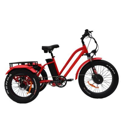 China 48V electric cargo tricycle aluminum alloy sales electric mountainbicycle front hub motor 3 wheel hot electric fat tire for sale