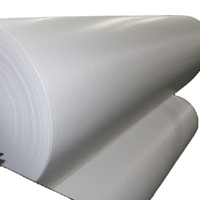 China Factory Outlet Polypropylene PP Waterproof Spunbond Nonwoven Fabric PP Breathable Nonwoven Fabric Roll for sale