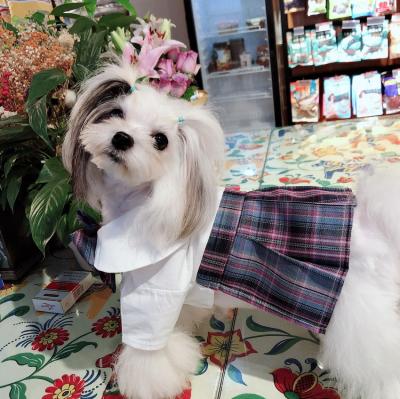 China Hot Stocked Plaid Dogs Pleated Skirt Princess Dogs Cats Soft Bow Dress for sale