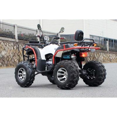 China New All Terrain ATV Adult Kids Amphibious Fun ATV 10