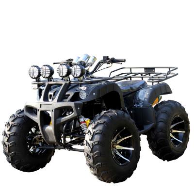 China High quality crash-resistant black multi-person high load-bearing ATV 12