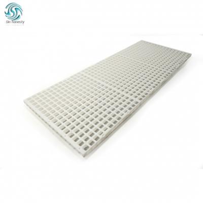 China Durable Chicken Slat Plastic Flooring for Poultry Farm for sale