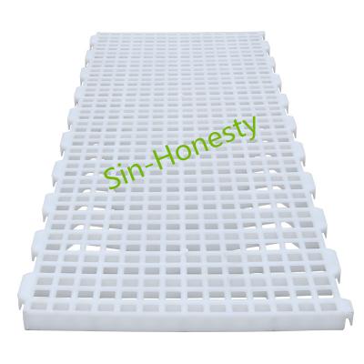 China Durable Plastic Chicken Farm Equipment Slat Floor Mat Chicken Farm for sale