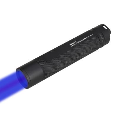 China 3w 365nm Nichia RichFire High Power USB NDT UV Led Flashlight 365 Nanometer Blacklight Torch 365nm LED Rechargeable Instant Light UV Flashlights for sale