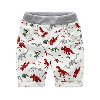 China Baisheng Clothing OEM Manufacturer Dinosaur Full Breathable Custom Made Soft Breathable Child Short Pant Cartoon All Over Print Boy Shorts for sale