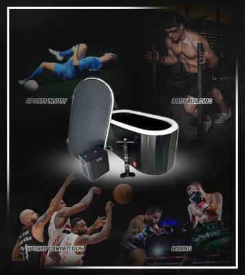 China TOPTION High Performance Cooling Ice Bath Tub Digital Display Type for sale