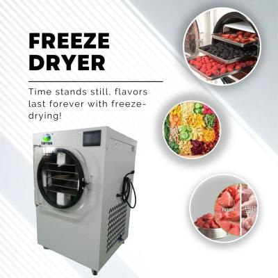 China Advanced Freeze Dryer Machine Experience the Best in Fruit Preservation for sale