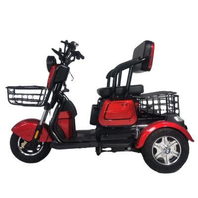 China Skillful Manufacture 48v 20ah Passenger Scooter Double Lead Acid Battery Electric Bike For Adult for sale