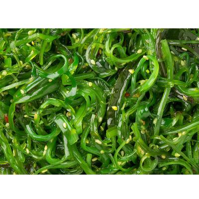 China Seaweed Wakame FROZEN Fresh Seasoning Chuka Wakame Seasoned Seaweed Frozen Seaweed Salad for sale