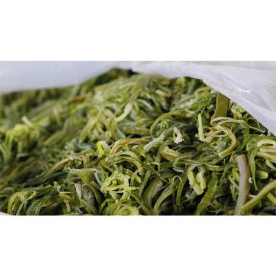 China FROZEN Stem Salted Frozen Stem of Marine Algae Frozen Shredded Wakame Undaria Pinnatifida Wakame for sale