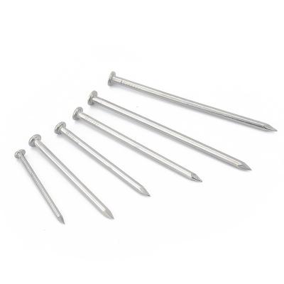 China High Performance Flat Nail Direct Selling Stainless Steel for sale