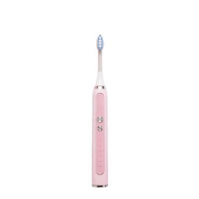 China 2021 Hot Selling Battery Operated Travel Waterproof Portable Silicone IPX7 Sonic Electric Toothbrush for sale