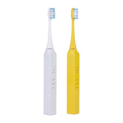 China Factory Battery Powered OEM Waterproof Portable USB Charging Sonic Toothbrush For Adult Automatic Electric Rechargeable for sale