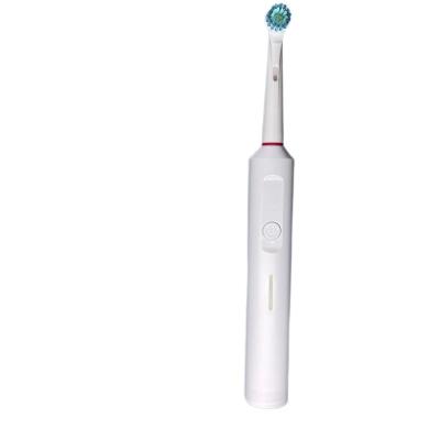 China USB Rechargeable And DC Rechargeable Charging Charging 3 Speed ​​Rotary Electric Toothbrush For Adult for sale