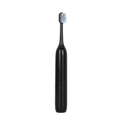 China 2021 Factory New AA Battery Power Design Waterproof Replaceable Toothbrush for sale