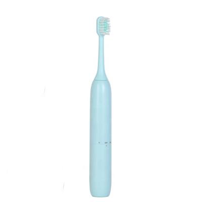 China IPX7 Waterproof Battery Operated Replaceable Brush Head Adult Replaceable Toothbrush for sale