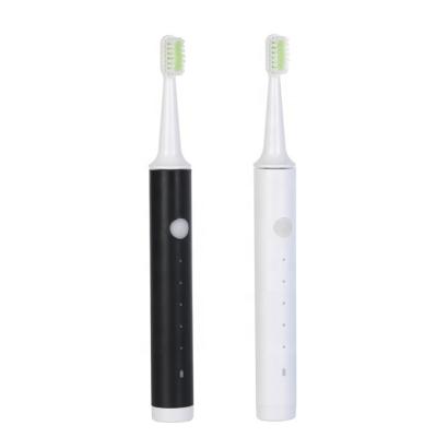 China 5 Modes USB Rechargeable Waterproof Optional Smart Adult Cheap Electric Toothbrush for sale