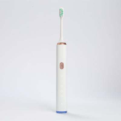 China OEM Design New 5 Rechargeable Waterproof Rechargeable Brushing Mode Ultrasonic Electric Toothbrush for sale