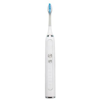 China OEM Factory New Design Rechargeable Replaceable Brush Head Rechargeable Electric Toothbrush For Adult for sale