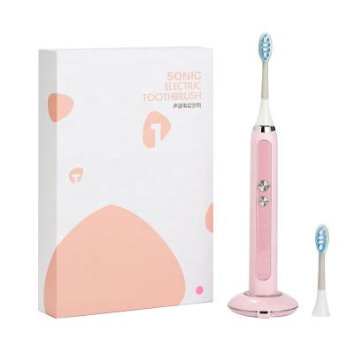 China USB Head Rechargeable and White Replaceable Brush Pink Waterproof Automatic Automatic Ultrasonic Electric Toothbrush for sale