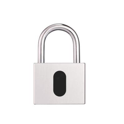 China Waterproof Biometric Padlock Cabinet/Drawer Desk/Door/Desk/Gym/SPA Door Fingerprint Small Smart Lock For Moving for sale